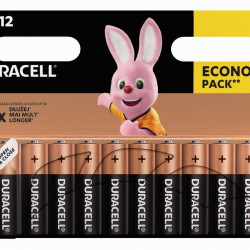 Baterijas Duracell Basic, AA, MN1500, LR06-12BB, 12gab/iep